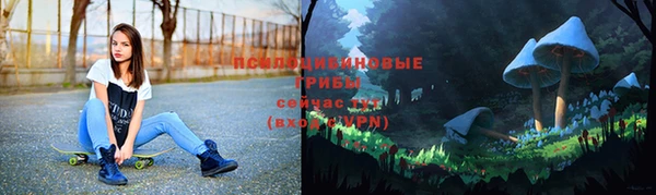 spice Алексин